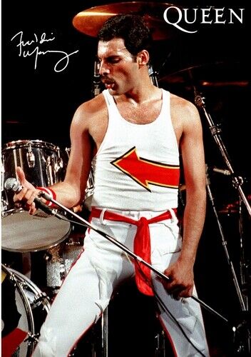 QUEEN POSTER - FREDDIE MERCURY 4 - Photo Poster painting QUALITY INSERT  POST!