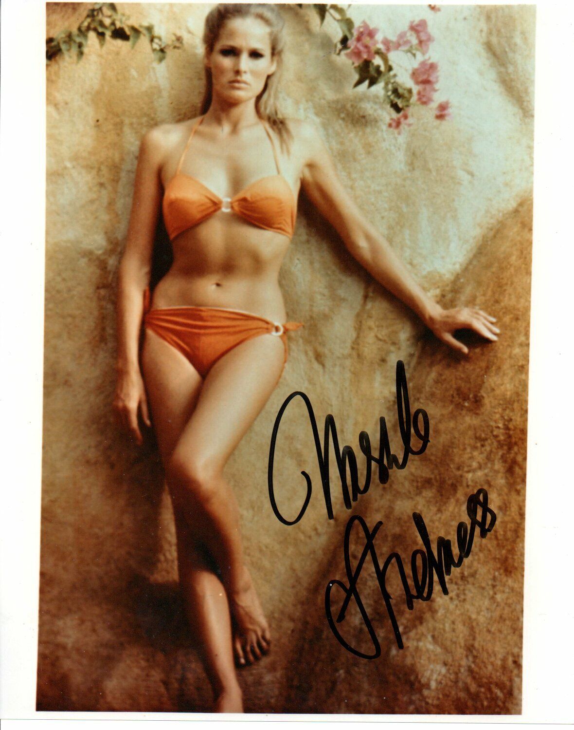 Genuine Hand Signed Ursula Andress Dr No Photo Poster painting 10 x 8 Photo Poster painting  James Bond COA