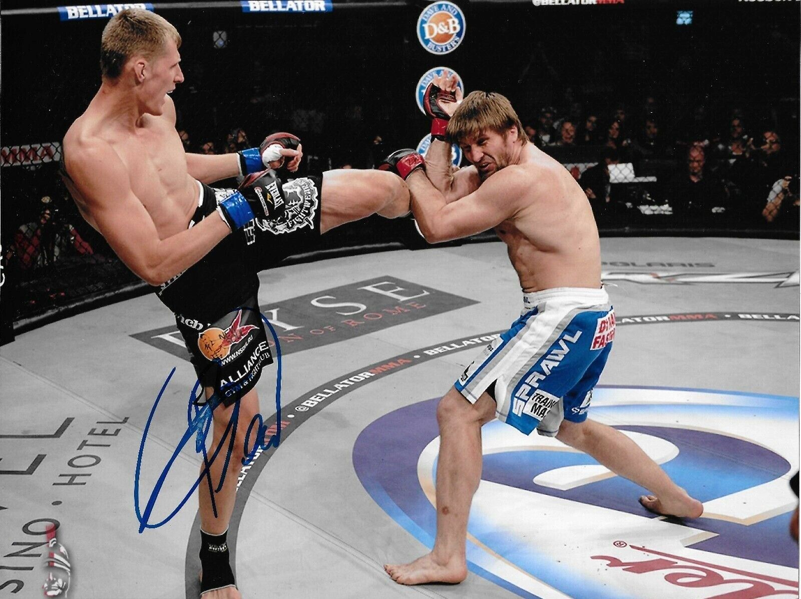 Alexander Volkov Autographed Signed 8x10 Photo Poster painting ( UFC ) REPRINT