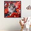 Diamond Painting -DIY Round Drill Cat(40x40cm)
