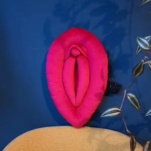 pornhint Pornhint Vulva pillow, intense pink vulva puppet, sex education vagina cushion, anatomical model of vulva, fuchsia, 4 sizes