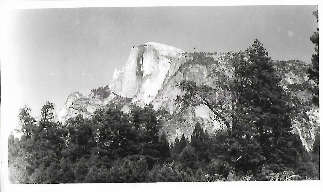 Yosemite National Park FOUND Photo Poster paintingGRAPH bw CALIFORNIA Original Snapshot 011 10 K