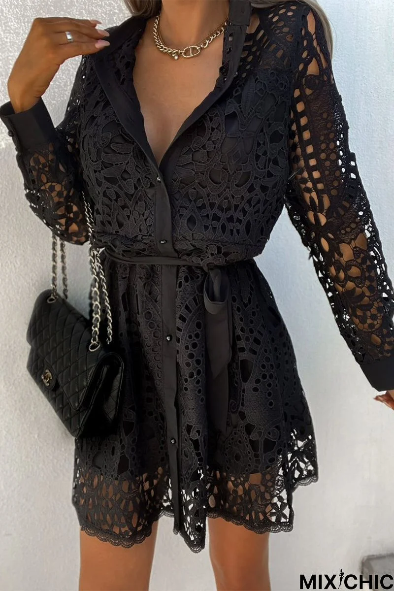 Sexy Elegant Solid Hollowed Out Turndown Collar A Line Dresses
