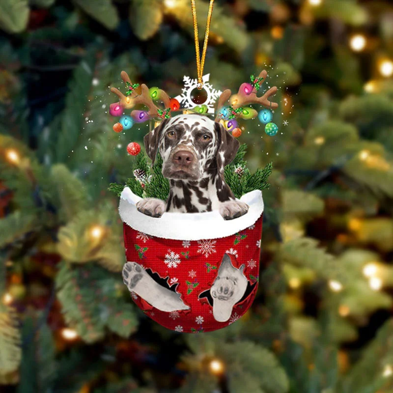 Brown Dalmatian In Snow Pocket Christmas Ornament.
