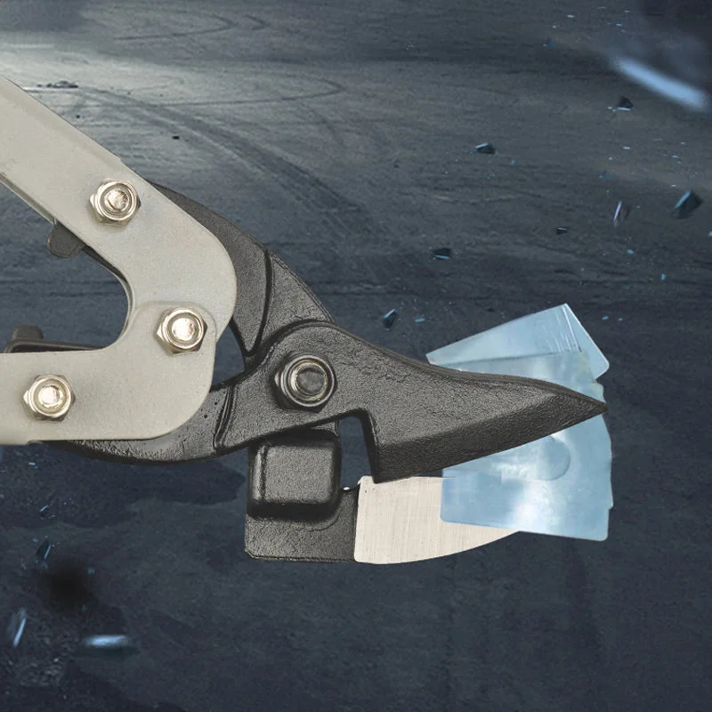 Stainless Steel Multifunctional Iron Scissors