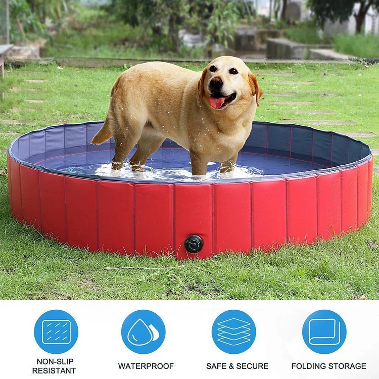 Portable Paw Pool | 168DEAL