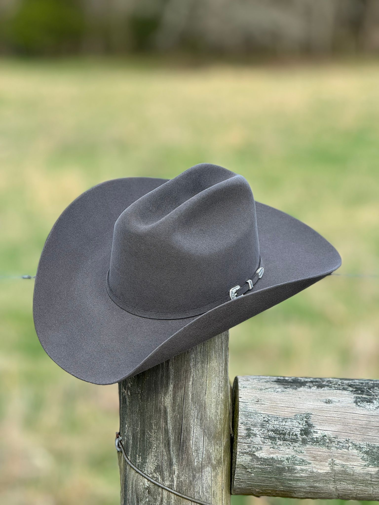 Texana George 8X