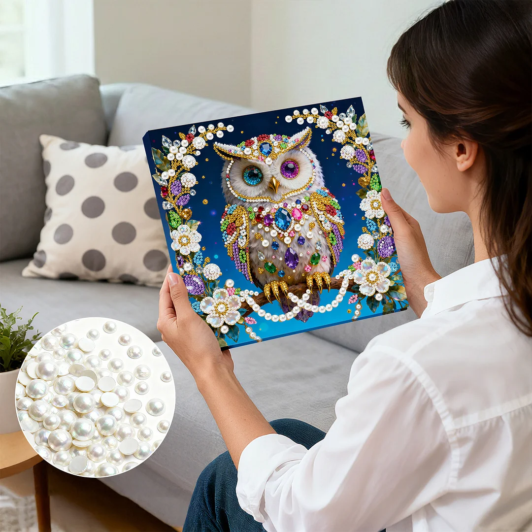 Owl DIY Pearl Art Diamond Painting Kit for Adults Home Decor 25x25cm With Frame