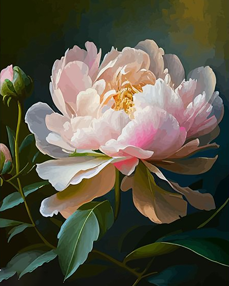 Peonies in full bloom - Paint by Numbers - 16"x20"/40*50cm