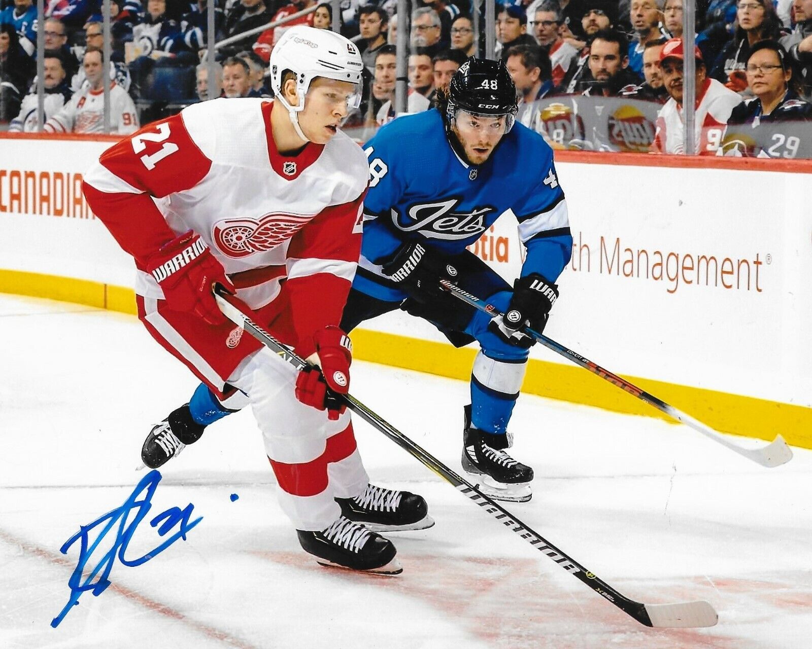 Dennis Cholowski signed Detroit Red Wings 8x10 Photo Poster painting autographed