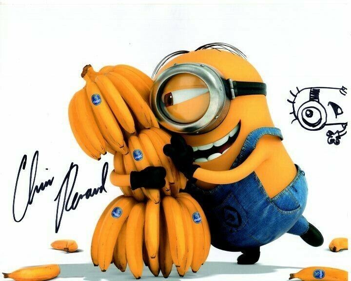 CHRIS RENAUD Signed Autographed DESPICABLE ME MINION Photo Poster painting with SKETCH