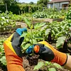Gardening Silicone Thumb  Tool Set Reusable Multifunctional Gardening Pruning Tool Multi-Purpose Pruning Shears Garden Tools for Harvesting/Plant Fruit Picking/Trimming (gloves)