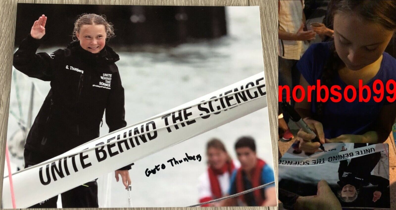 GRETA THUNBERG SIGNED CLIMATE CHANGE ACTIVIST 8x10 Photo Poster painting B w/EXACT PROOF