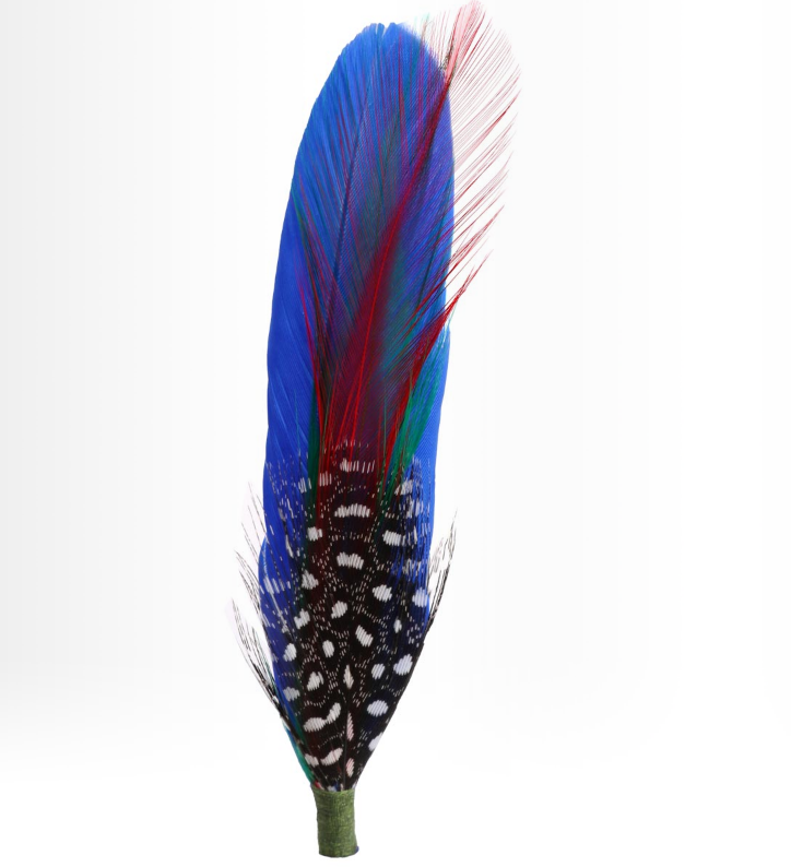 Hat Feather one