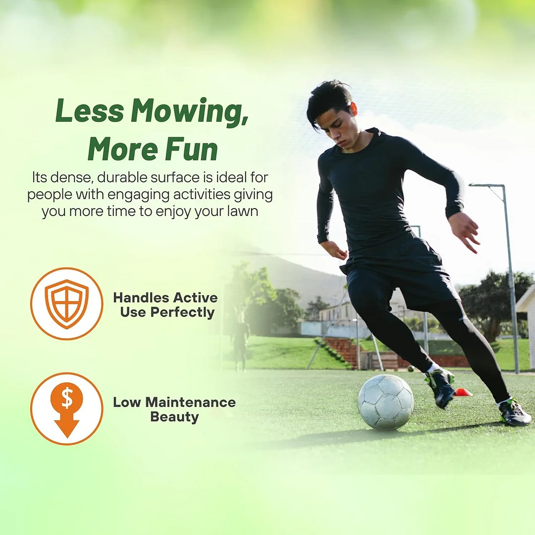 Kentucky Bluegrass - Midnight