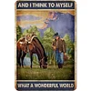 (Multi Style)West Cowboy - Vintage Metal Signs - 20*30cm/30*40cm - Western
