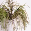 Artificial Greenery Forage Grass Air Plant