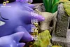Sleeping Series 009 Gengar Family - Pokemon Resin Statue - DM Studios