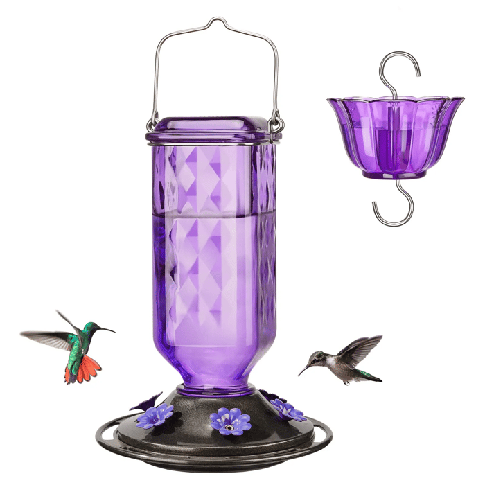Glass Hummingbird Feeder - tree - Codlins