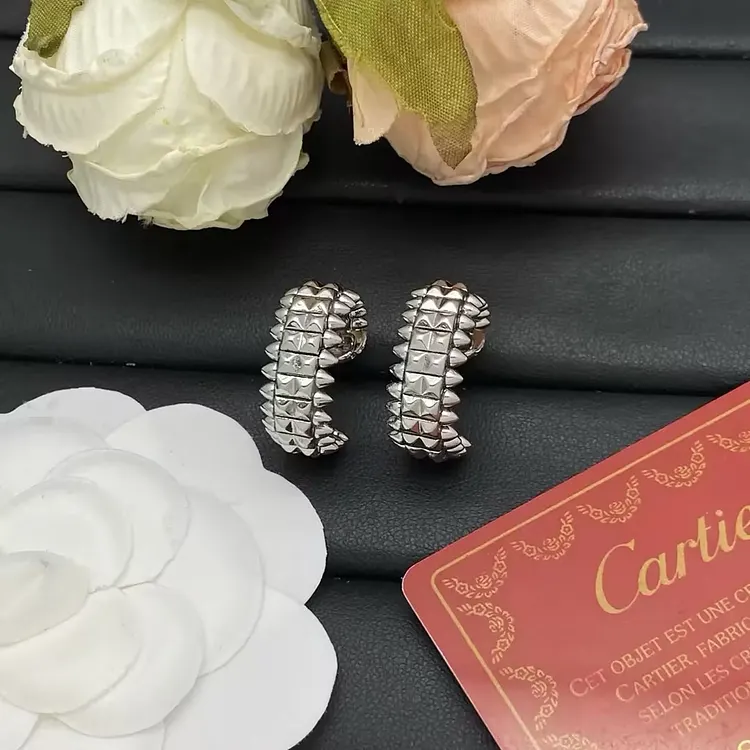 2026 Trends 925 Sterling Silver Earrings Woman Luxury Designer Rivet Bullet Earring Fashion Jewelry for Ladies Date Accessories
