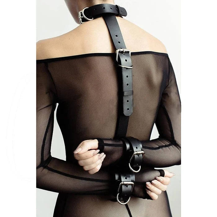 pornhint Pornhint Neck & Wrist Restraint