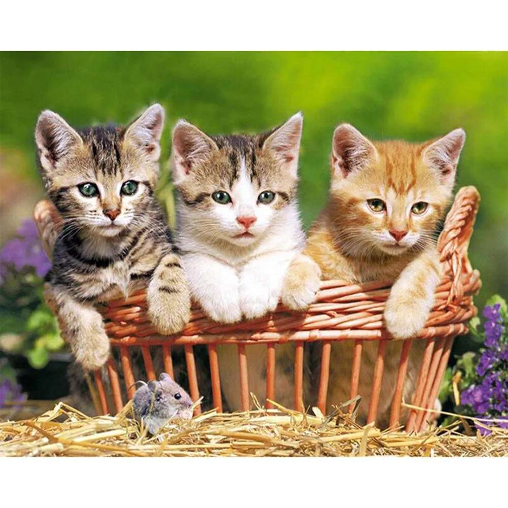 Full Round Diamond Painting Cats (40*30cm)
