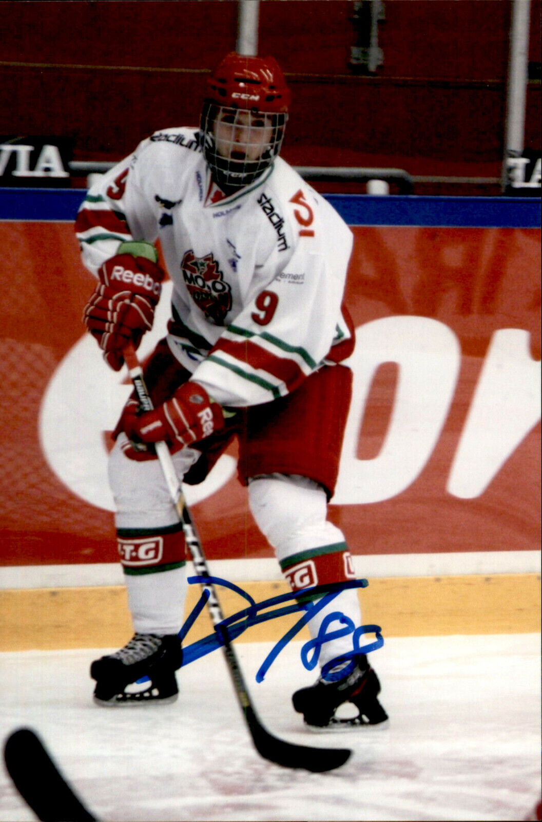 Dmytro Timashov SIGNED 4x6 Photo Poster painting MODO / QUEBEC REMPARTS / TORONTO MAPLE LEAFS #2