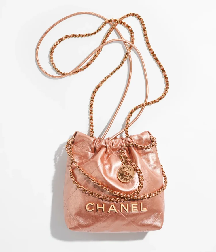  Zoomoni Premium Bag Organizer for Chanel 22 Small Handbag (Ref:  AS3260) [Set of 2] (Handmade/20 Color Options) [Purse Organiser, Liner,  Insert, Shaper] : Handmade Products