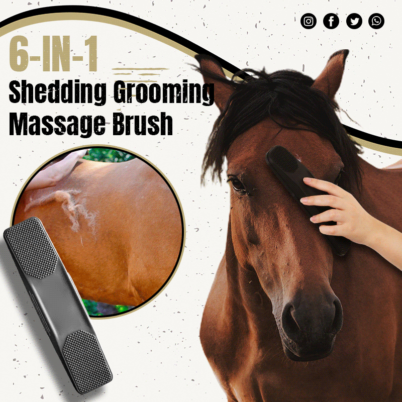 6-in-1 Shedding Grooming Massage Brush