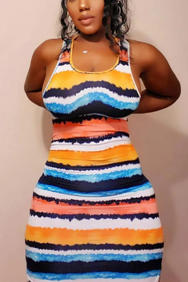 Stripe Print Multicolor Dress