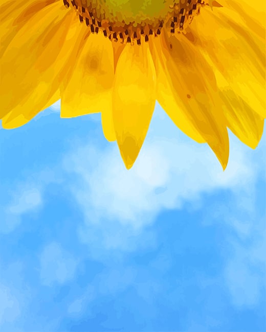 

Helianthus annuus flower – Paint By Numbers - 40*50CM, 501 Original