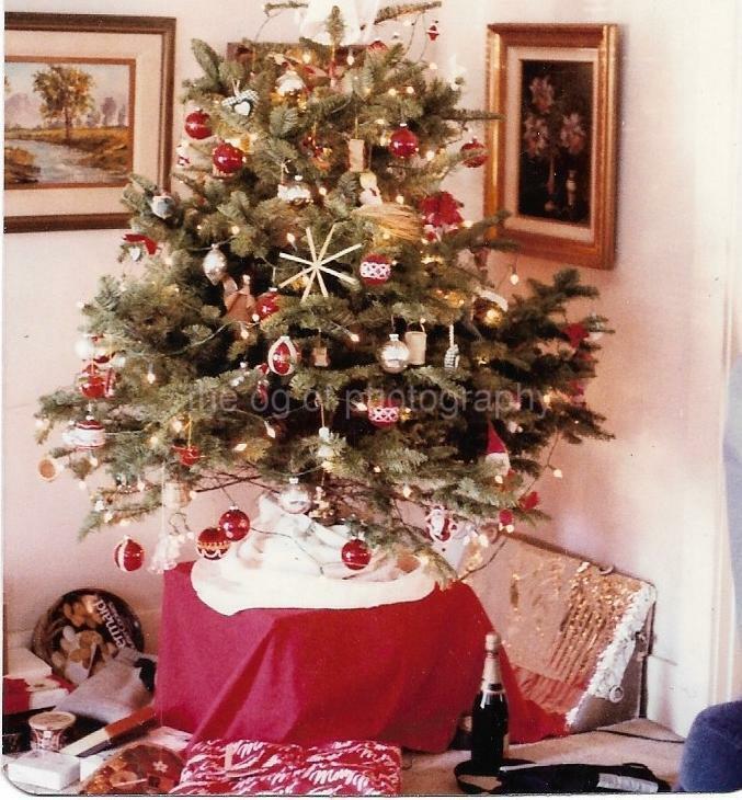 Christmas Tree FOUND Photo Poster painting ColorOriginal Snapshot VINTAGE 04 32 B