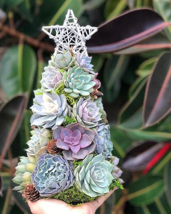 🎁Handmade Surprise Christmas gift🎄Succulent Christmas Tree