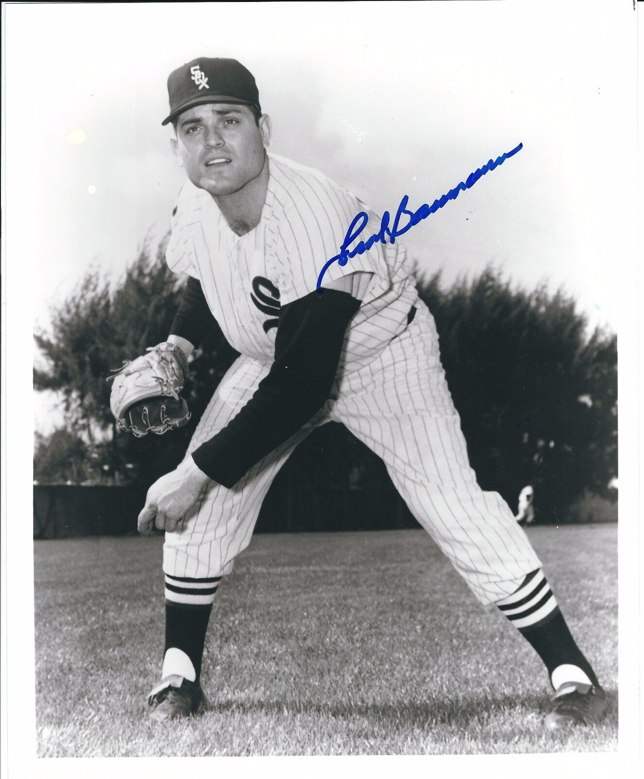 AUTOGRAPHED 8x10 FRANK BAUMANN Chicago White Sox Photo Poster painting W/COA