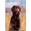 Black dog | Full Round Diamond Painting Kits