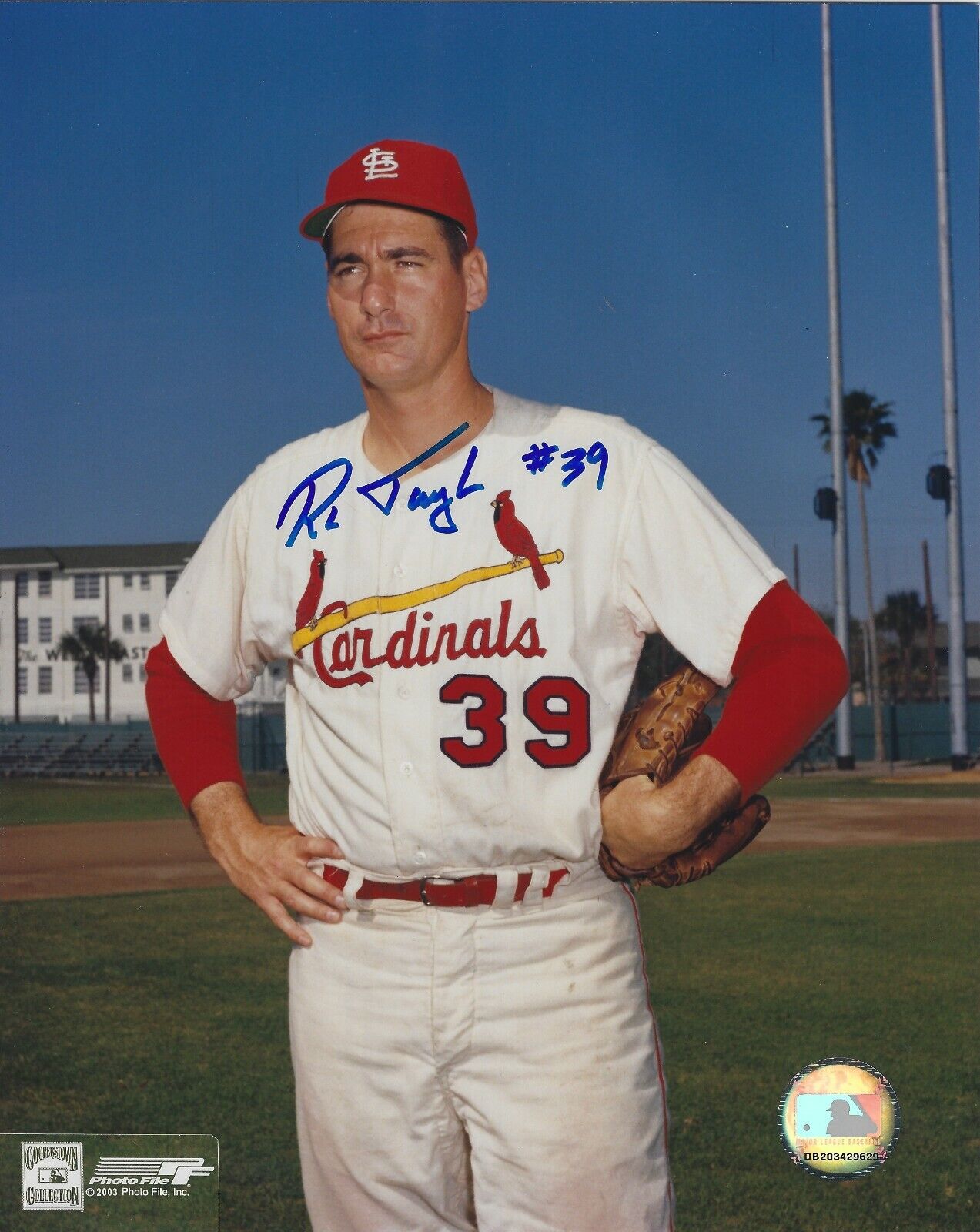 Autographed RON TAYLOR St. Louis Cardinals 8x10 Photo Poster painting w/ COA