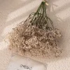 12 Stems Babysbreath Artificial Bean Greenery Bunch