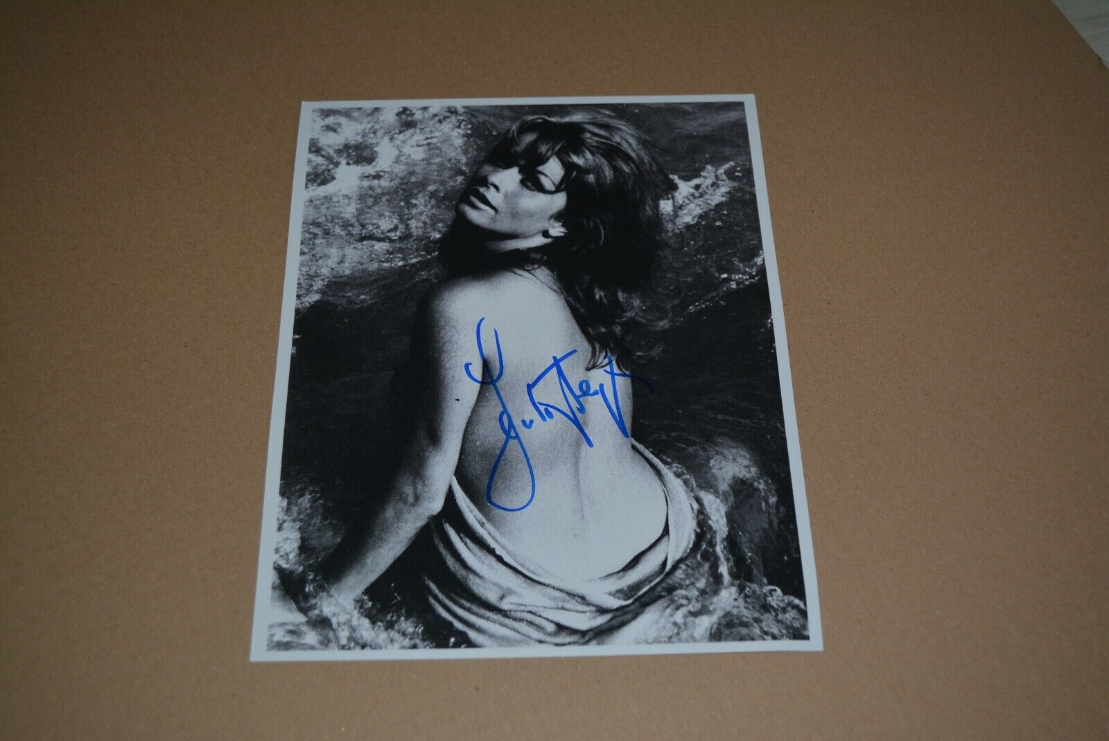 SENTA BERGER sexy signed autograph In Person 8x10 (20x25 cm) MAJOR DUNDEE