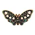 Dreamy Night Butterfly