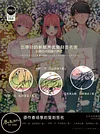 Decorative Paint of &rlm;Original series Voice Actors's Signatures 5Toubun no Hanayome - 5Toubun no Hanayome Decorative Painting - Mystical Art Studios