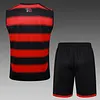 2025/2026 Flamengo Pre-Match Training Vest+Shorts Football1:1 Thai Quality