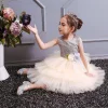 Girl Ceremonies Dress Wedding Party Birthday Gown Vestidos Tutu Dress - honeylives