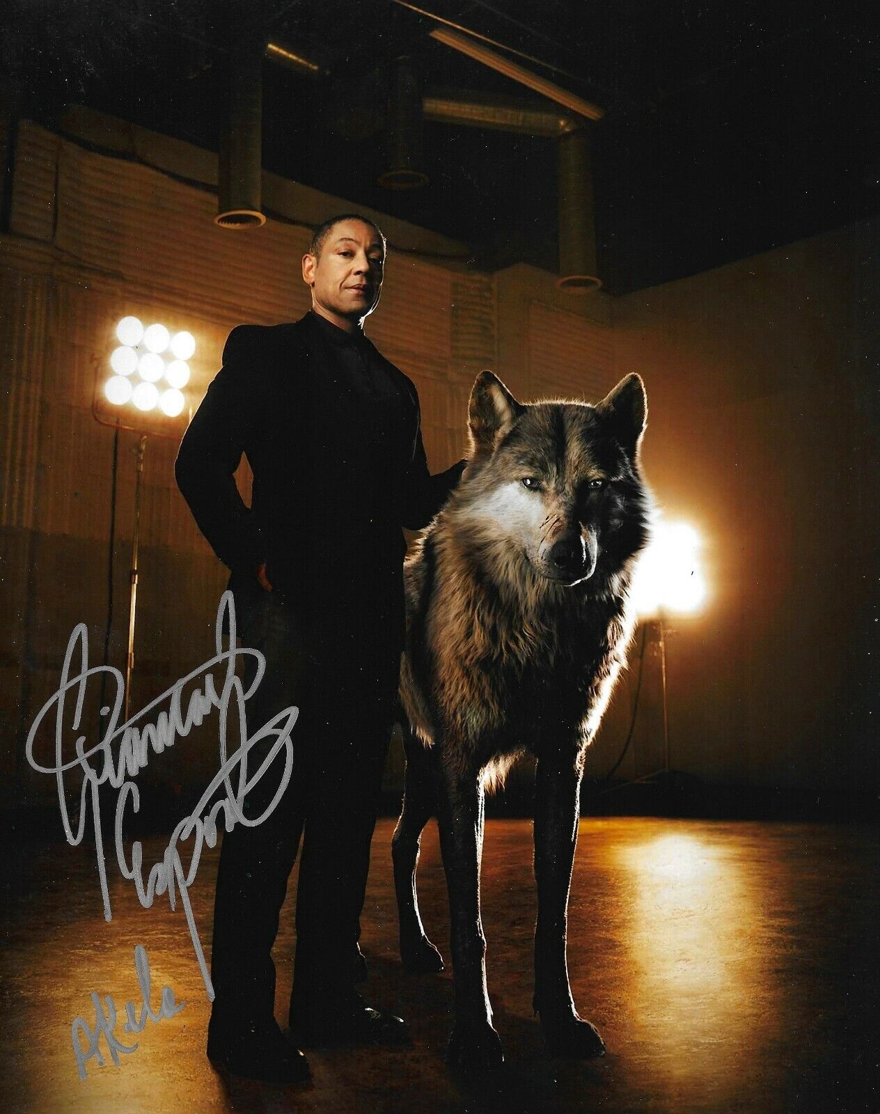 Giancarlo Esposito Signed The Jungle Book 10x8 Photo Poster painting AFTAL *With Character Name*