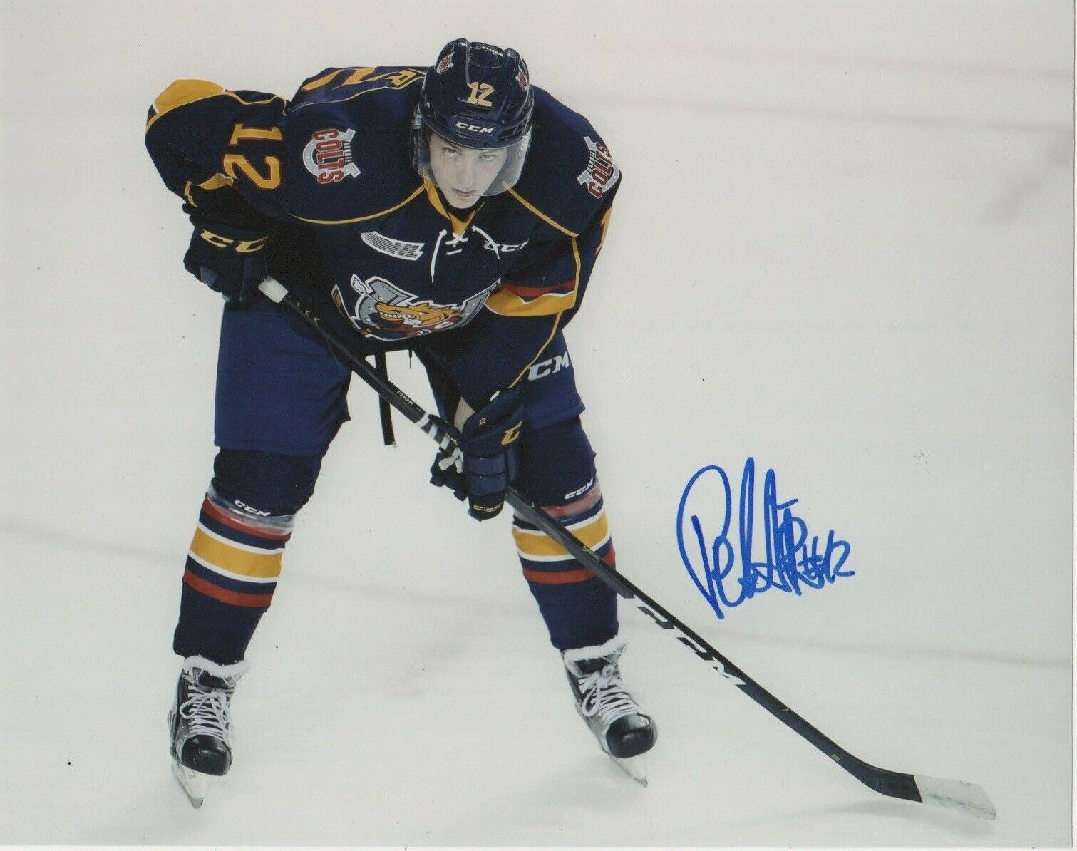 Barrie Colts Matej Pekar Signed Autographed 8x10 Photo Poster painting COA #2