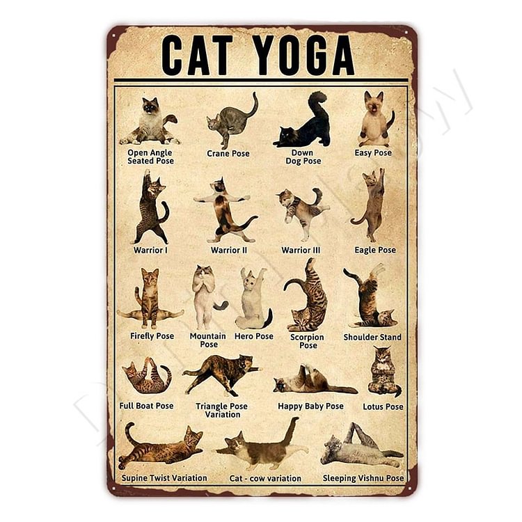 Cat Yoga- Vintage Tin Signs/Wooden Signs - 7.9x11.8in & 11.8x15.7in