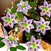 8Pcs 3D Purple Artificial Flowers DIY Desktop Diamond Art Kit
