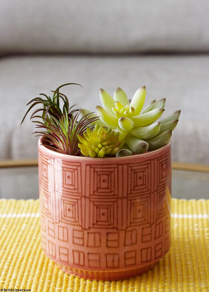 Artificial Flocked Succulents Agave Cactus - 4"