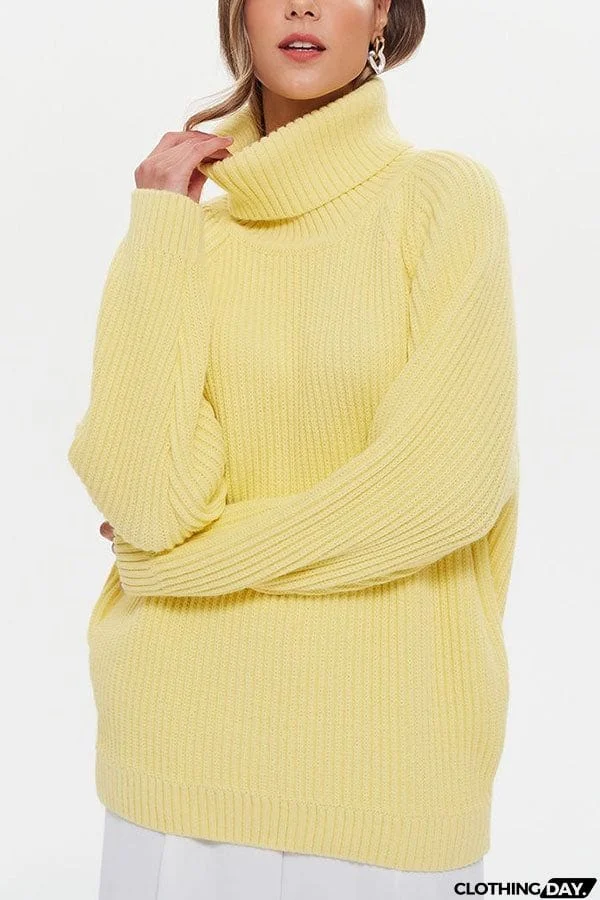 Turtleneck Pullover Loose Knit Sweater