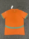 2025/2026 Lvory Coast National Team Home Football Shirt 1:1 Thai Quality love fball