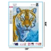 Tiger | Full Square Diamond Painting Kits